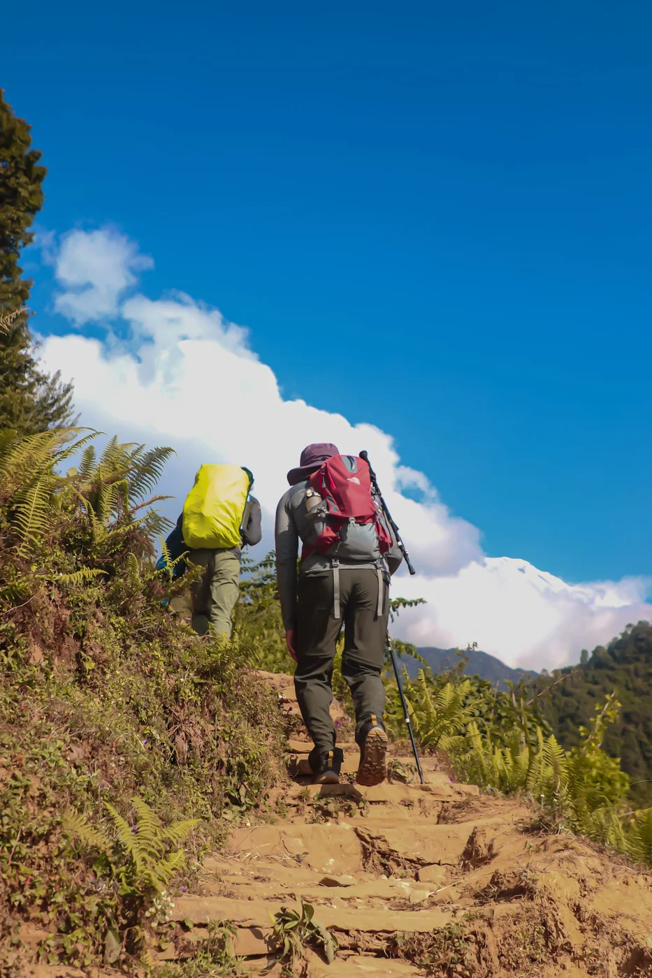 Annapurna Base Camp Trek